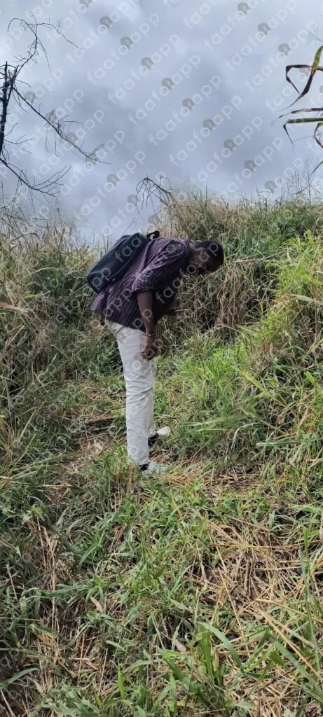 cachoeira salvador bahia rua cultura local