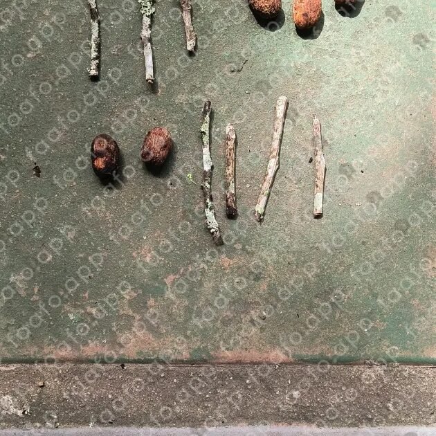 cachoeira quilombo ilha bahia cultura ancestral