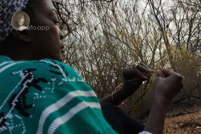 sisi in brasil working with her hands in the trees --- brooklyn east new york faafo.app